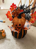 Halloween/Thanksgiving/Fall Decor Collection - thumbnail 5 of 8