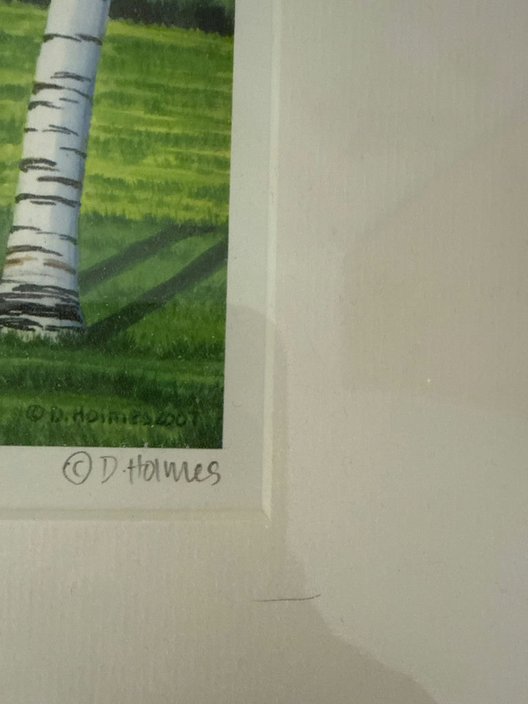 Deborah Holmes - framed birch-tree landscape print titled 'Summer Birches, Vermont' - image 3 of 5