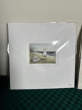 Seagull/Seabird Decor Themed Lot - thumbnail 2 of 9