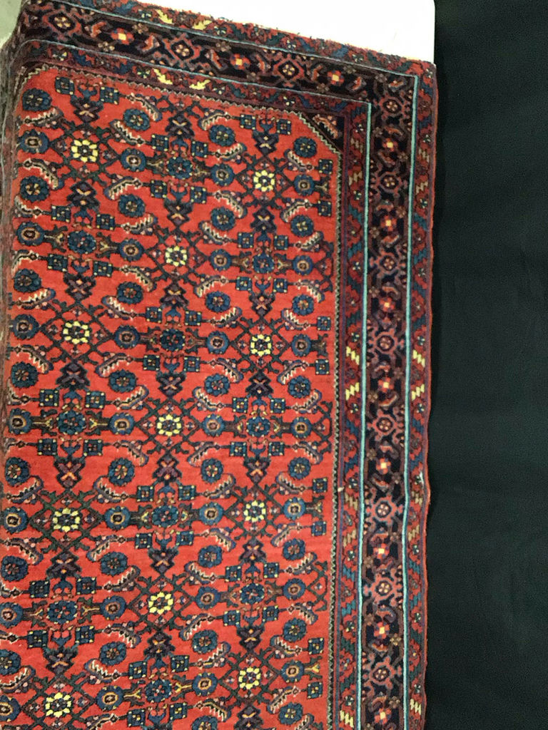Oriental Rugs - image 6 of 7