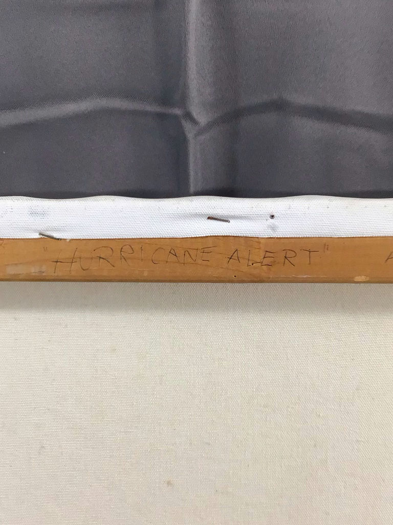 Hurricane Alert - George Guzzi - image 8 of 9