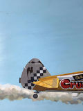 Duxford Daredevil - George Guzzi - thumbnail 3 of 10