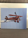 Cloud Dancer - George Guzzi - thumbnail 2 of 8