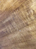 MCM Craftsman Style Decor - thumbnail 8 of 21