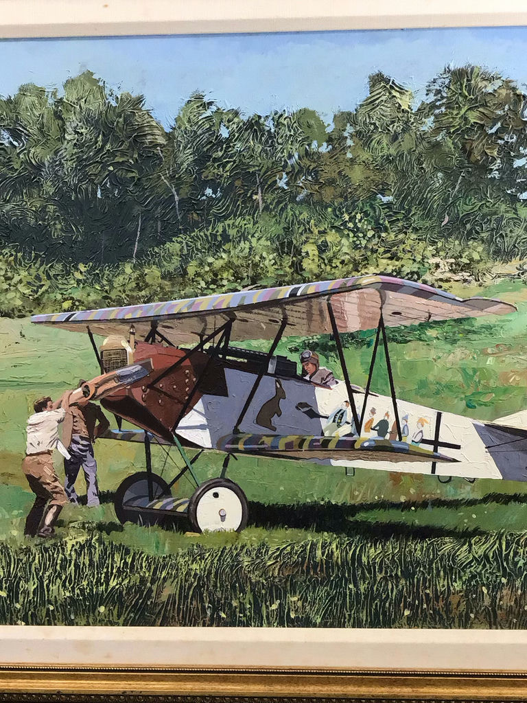 Fokker DVII at Rhineback - George Guzzi - image 1 of 10