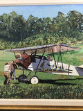 Fokker DVII at Rhineback - George Guzzi - thumbnail 1 of 10
