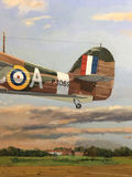 Hurricane Alert - George Guzzi - thumbnail 3 of 9