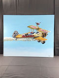 Duxford Daredevil - George Guzzi - thumbnail 2 of 10