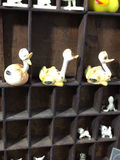 It's A Small World - thumbnail 5 of 22
