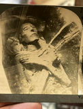 3 Keystone  African Stereocards Elephant Poaching - thumbnail 3 of 12
