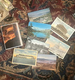 Lot Antique Photos & Pictures - thumbnail 15 of 17