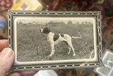 Lot 7 Early 1900s Dog Postcards Unused Cute - thumbnail 6 of 11