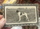 Lot 7 Early 1900s Dog Postcards Unused Cute - thumbnail 5 of 11