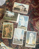 Large Lot Old California Postcards - thumbnail 17 of 18