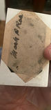 Tin Type And Cdv’s Of Young Children - thumbnail 7 of 7