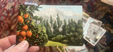 Large Lot Old California Postcards - thumbnail 4 of 18