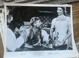 Eight Black And White Movie Still 1958 God’s Little Acre - thumbnail 5 of 9
