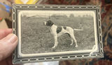 Lot 7 Early 1900s Dog Postcards Unused Cute - thumbnail 8 of 11