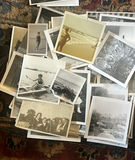 Very large lot of MCM family, photos, black and white - thumbnail 12 of 19