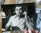 Lot 1960’s Sex Symbols B&W Movie Stills - thumbnail 14 of 19