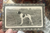 Lot 7 Early 1900s Dog Postcards Unused Cute - thumbnail 4 of 11