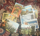Large Lot Old California Postcards - thumbnail 1 of 18