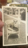Lot Vintage Photos NH Nature Police - thumbnail 15 of 18