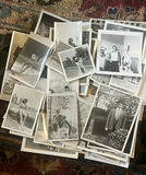 Very large lot of MCM family, photos, black and white - thumbnail 10 of 19