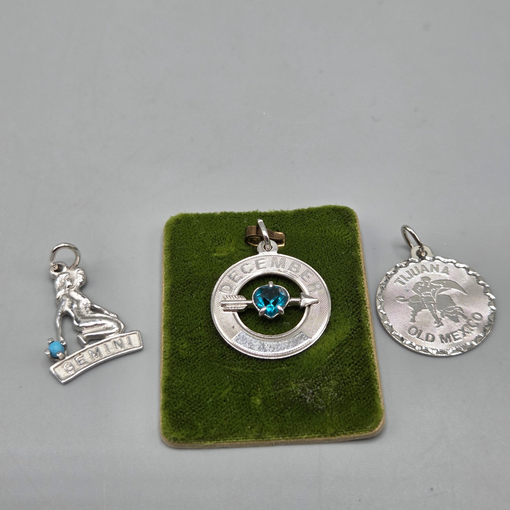 Sterling Zodiac and December Charms - image 1 of 8