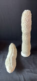 Assorted seashells and coral collection - thumbnail 4 of 6