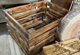 6 Round cushions that look like center cut wood, Golden Bugs, Small Rugs - thumbnail 5 of 10