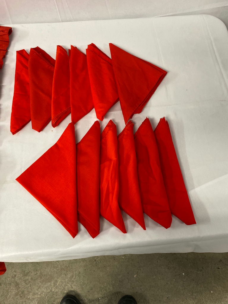 Bunting and Napkins - image 4 of 4