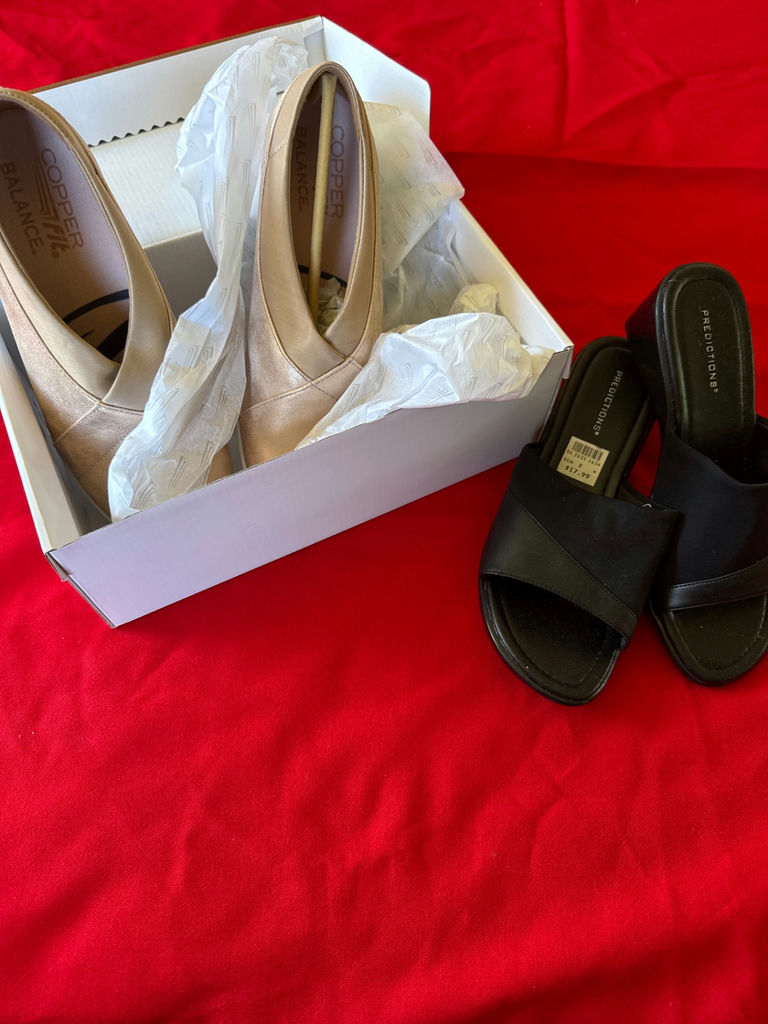 Beige Metallic Pumps and Black Slide Sandals with Copper Fit Box - image 1 of 4