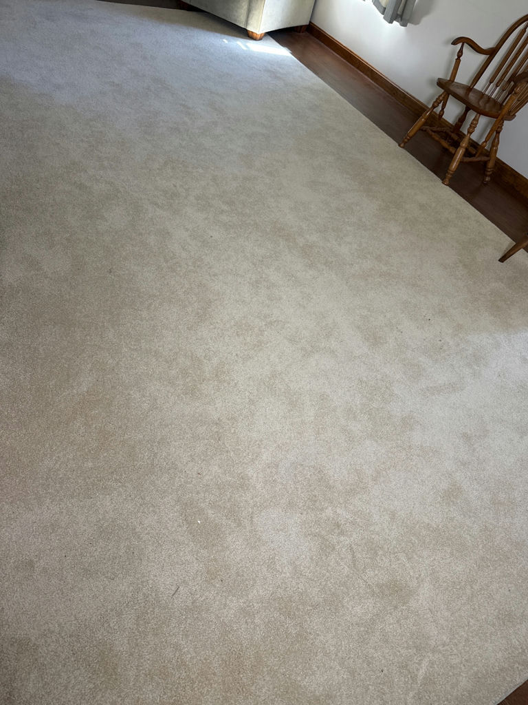Beige Carpet - image 1 of 2