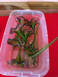 Green Glass Flower Stems - thumbnail 1 of 1