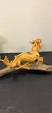 Dragon and More - thumbnail 6 of 14