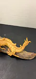 Dragon and More - thumbnail 5 of 14