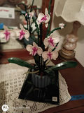 LEGO Orchid Plant Building Set - thumbnail 1 of 2