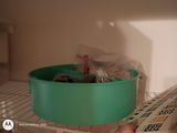 Craft Supplies and Decorative Scissors Assortment - thumbnail 4 of 8