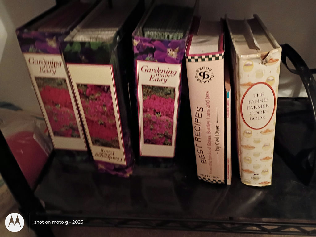 Collection of Cookbooks, Recipe Books, and Craft Books - image 8 of 8