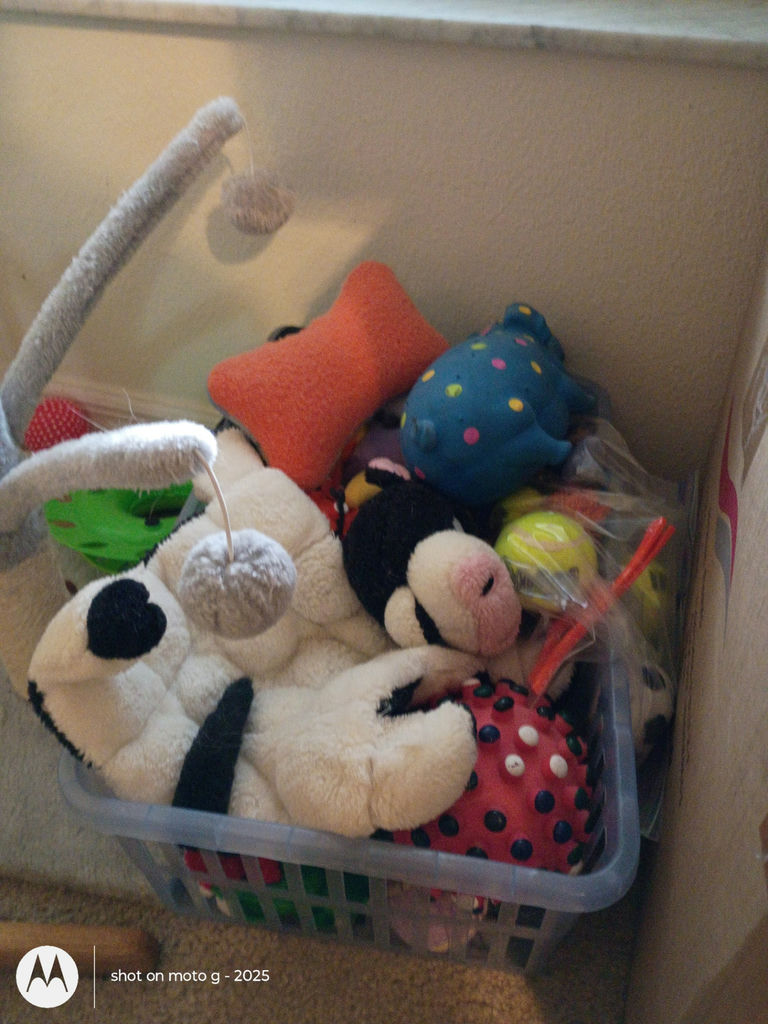 Cat Toys and Scratching Post Set - image 3 of 4