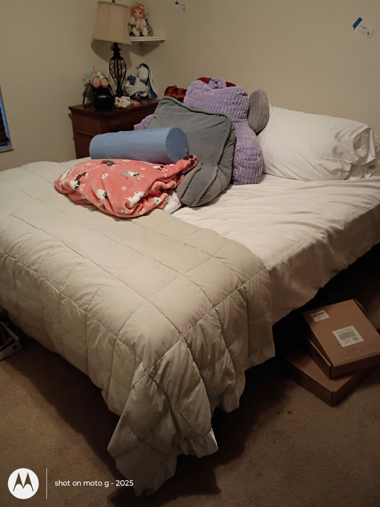 Adjustible Bed with Bedding and Pillows - image 1 of 1