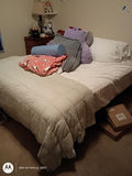 Adjustible Bed with Bedding and Pillows - thumbnail 1 of 1