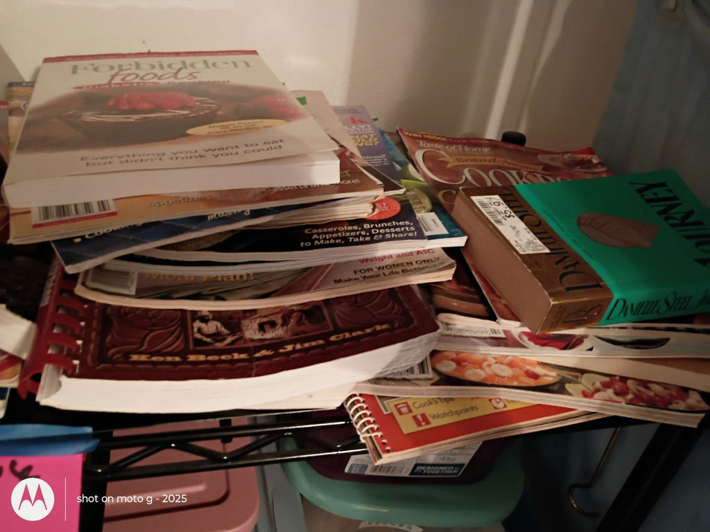 Collection of Cookbooks, Recipe Books, and Craft Books - image 4 of 8