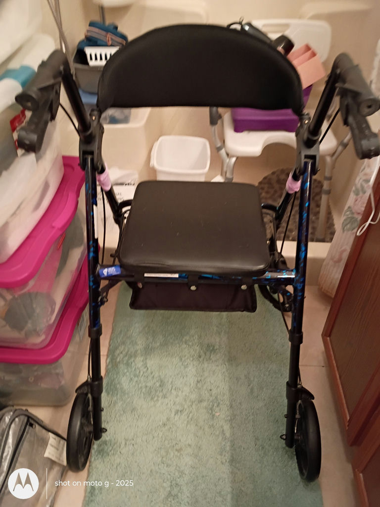 Rolling Walker With Seat and Bathroom Care Items - image 2 of 4