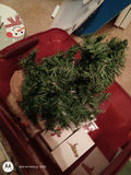 Assorted Christmas Decorations and Holiday Items - thumbnail 2 of 12