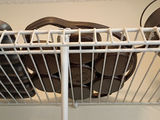 Assorted Cast Iron Cookware and Kitchenware - thumbnail 4 of 8