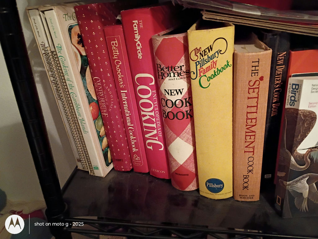Collection of Cookbooks, Recipe Books, and Craft Books - image 5 of 8