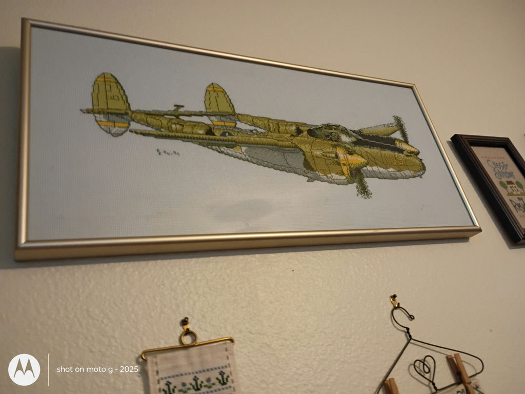 Collection of Framed Cross-Stitch and Needlework Wall Art - image 4 of 6