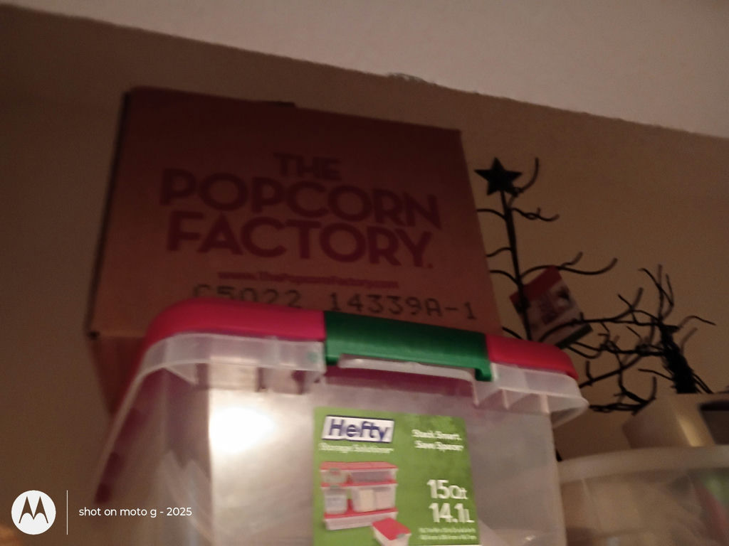 Christmas Decorations and Storage Bins - image 3 of 7